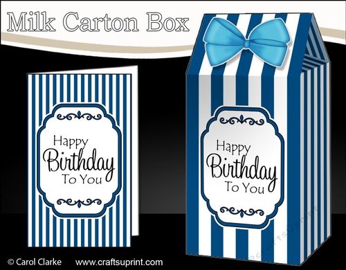 3D Candy Stripe Milk Carton Treat Box Mini Kit
