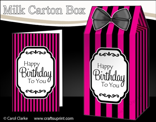 3D Candy Stripe Milk Carton Treat Box Mini Kit