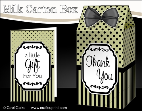 3D Spots & Stripes Milk Carton Treat Box Mini Kit