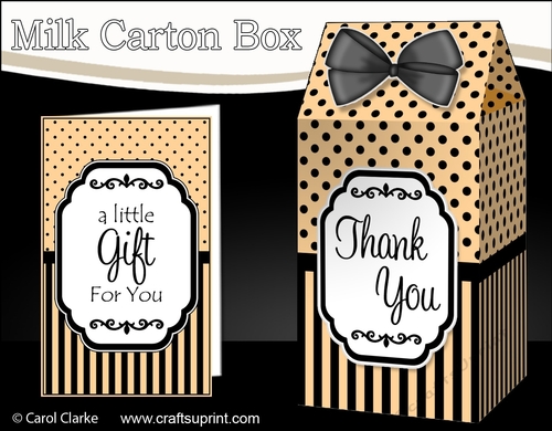 3D Spots & Stripes Milk Carton Treat Box Mini Kit