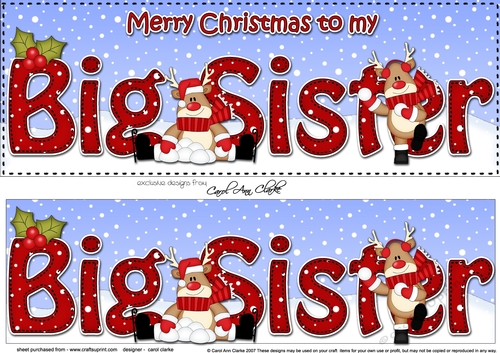 Large DL Merry Christmas TO MY BIG SISTER 3D decoupage 