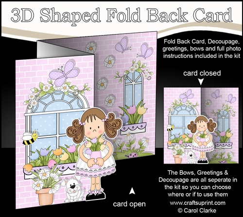3D Shaped No-Hole Fold Back Mini Kit -  Country Cottage Girlz Zoe has a Vase of Pretty Flowers