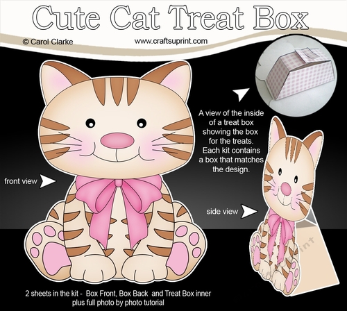3D Cute Cat Treat Box Gift Set Mini Kit - Cute Little Cat Fudge