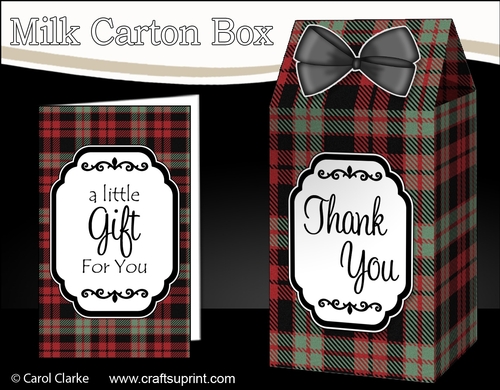 3D Tartan Milk Carton Treat Box Mini Kit