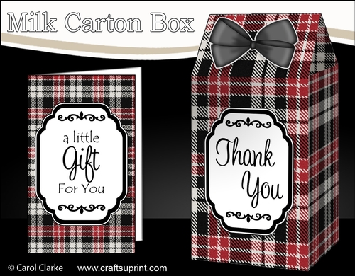 3D Tartan Milk Carton Treat Box Mini Kit