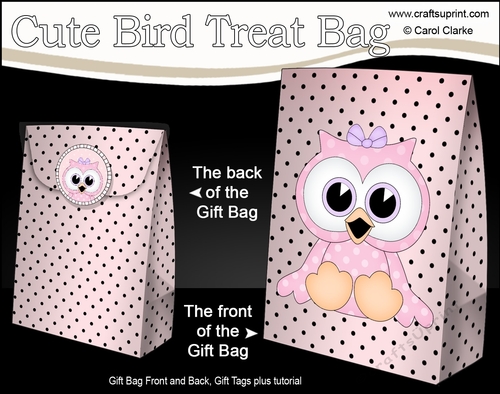 3D Gift Bag Mini Kit - Cute Little Olla Owl