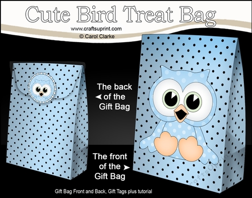 3D Gift Bag Mini Kit - Cute Little Oscar Owl