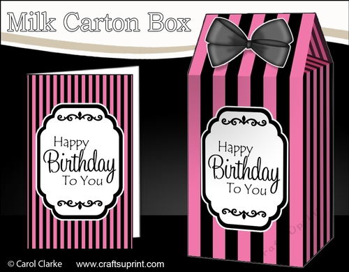 3D Candy Stripe Milk Carton Treat Box Mini Kit