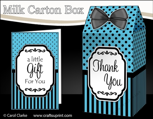 3D Spots & Stripes Milk Carton Treat Box Mini Kit