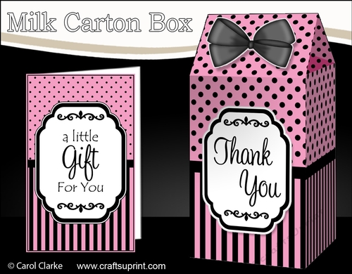 3D Spots & Stripes Milk Carton Treat Box Mini Kit