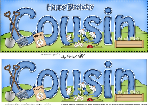 Large DL Happy Birthday COUSIN 3D decoupage