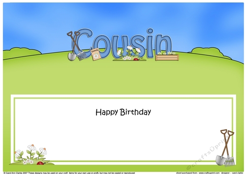 Large DL Happy Birthday COUSIN insert