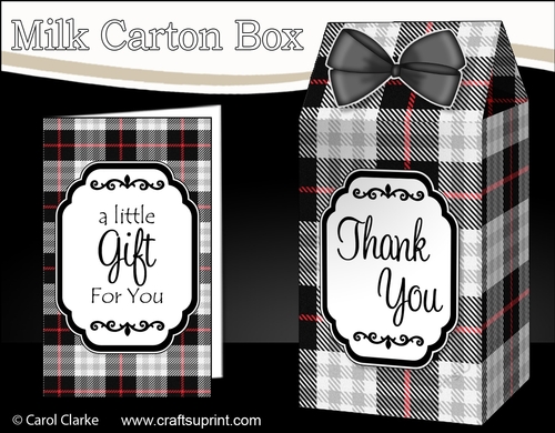 3D Tartan Milk Carton Treat Box Mini Kit