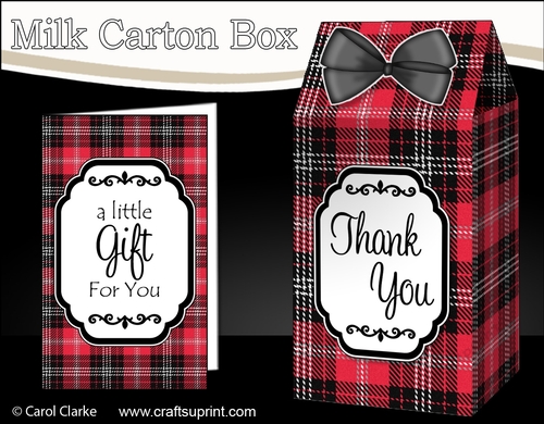 3D Tartan Milk Carton Treat Box Mini Kit
