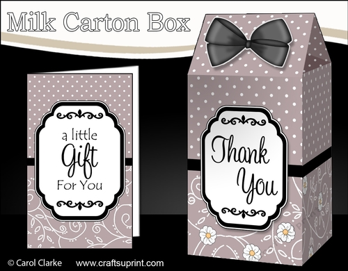 3D Spots & Flowers Milk Carton Treat Box Mini Kit
