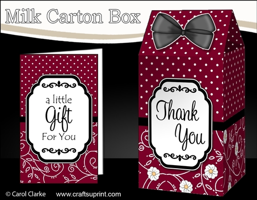 3D Spots & Flowers Milk Carton Treat Box Mini Kit