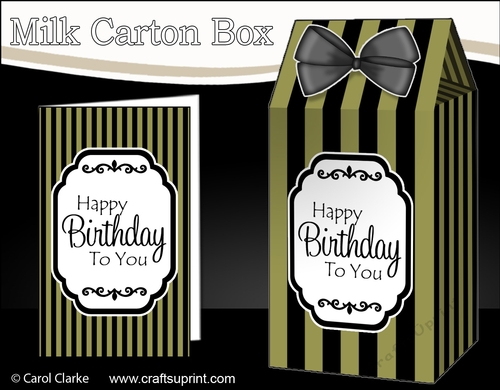 3D Candy Stripe Milk Carton Treat Box Mini Kit