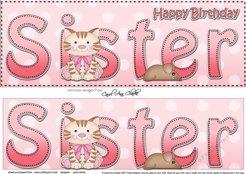 Large DL Happy Birthday SISTER with Cat 3D decoupage