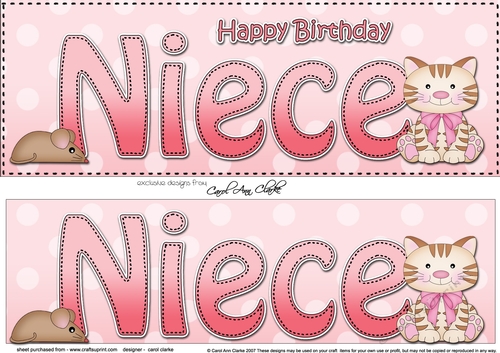 Large DL Happy Birthday NIECE with Cat 3D decoupage