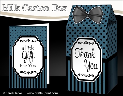 3D Spots & Stripes Milk Carton Treat Box Mini Kit