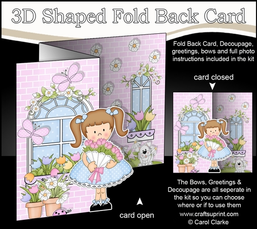 3D Shaped No-Hole Fold Back Mini Kit -  Country Cottage Girlz Liz has a Bouquet of Roses
