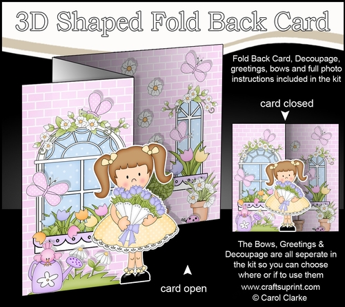 3D Shaped No-Hole Fold Back Mini Kit -  Country Cottage Girlz Liz has a Bouquet of Roses