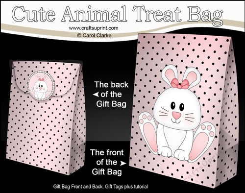 3D Gift Bag Mini Kit -  Cute Little Ipsy Bunny 