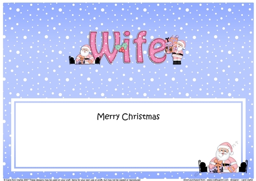 Large DL Merry Christmas WIFE with Santa insert