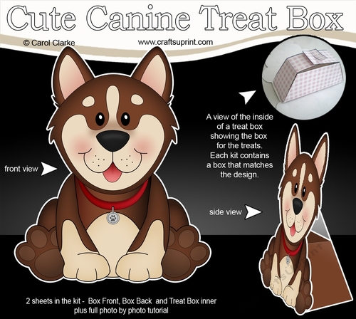 3D Cute Canine Treat Box Gift Set Mini Kit - Little Husky Dog Biscuit