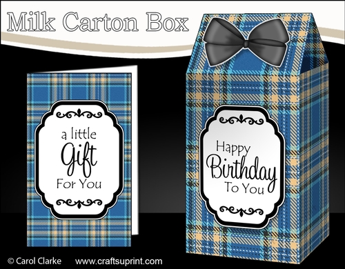 3D Tartan Milk Carton Treat Box Mini Kit