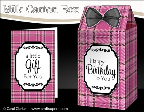 3D Tartan Milk Carton Treat Box Mini Kit