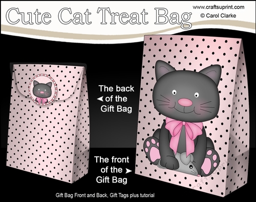 3D Gift Bag Mini Kit - Cute Little Cat Sooty