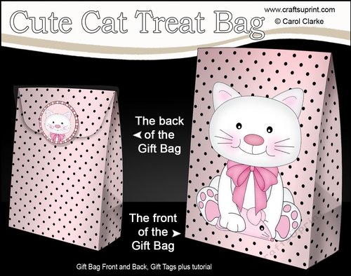 3D Gift Bag Mini Kit - Cute Little Cat Bella