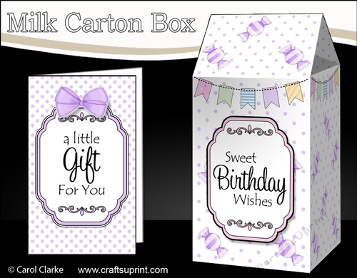 3D Sweet Treats Milk Carton Treat Box Mini Kit