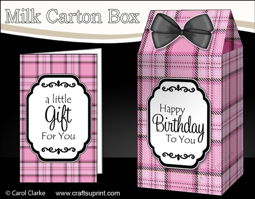 3D Tartan Milk Carton Treat Box Mini Kit