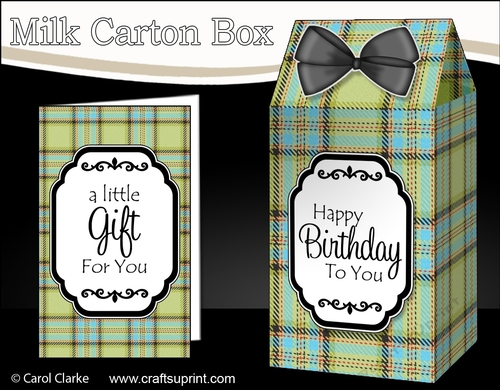 3D Tartan Milk Carton Treat Box Mini Kit