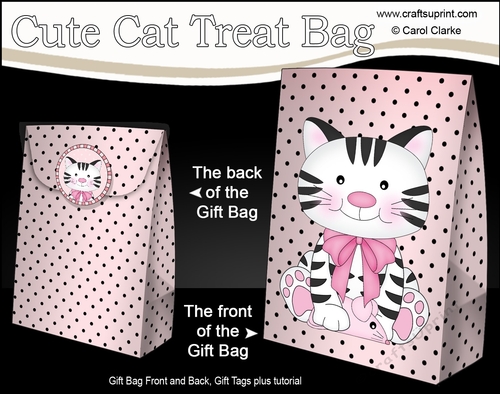 3D Gift Bag Mini Kit - Cute Little Cat Fudge