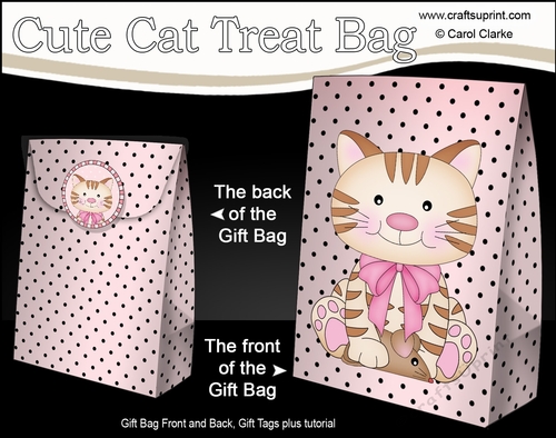 3D Gift Bag Mini Kit - Cute Little Cat Muffin