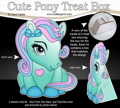 3D Cute Treat Box Gift Set Mini Kit - Cute Little Pony Minty 