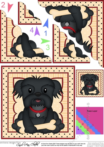 Cute Little Shih Tzu Dog Scalloped Corner Stacker