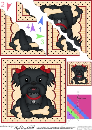 Cute Little Shih Tzu Dog Scalloped Corner Stacker