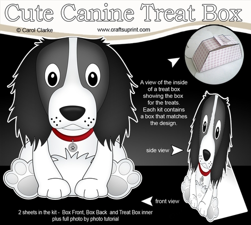 3D Cute Canine Treat Box Gift Set Mini Kit - Little Springer Spaniel Dog Blue