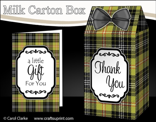 3D Tartan Milk Carton Treat Box Mini Kit