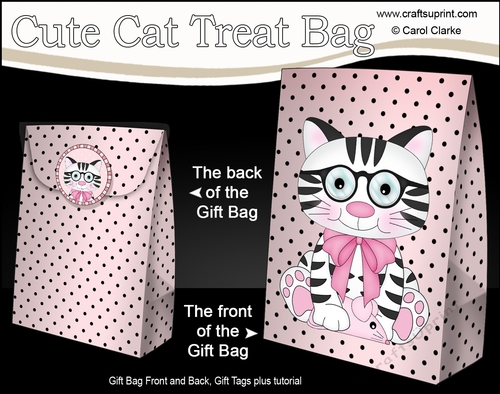 3D Gift Bag Mini Kit - Cute Little Cat Sammy