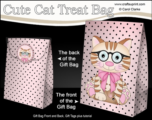 3D Gift Bag Mini Kit - Cute Little Cat Sydney