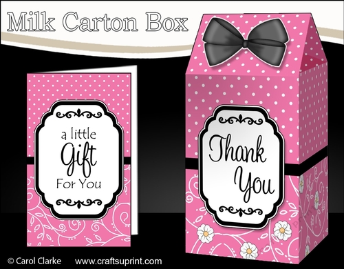 3D Spots & Flowers Milk Carton Treat Box Mini Kit