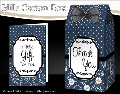3D Spots & Flowers Milk Carton Treat Box Mini Kit