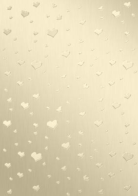 Elegant Romance Matching Vellum