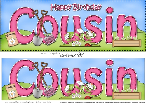 Large DL Happy Birthday COUSIN 3D decoupage