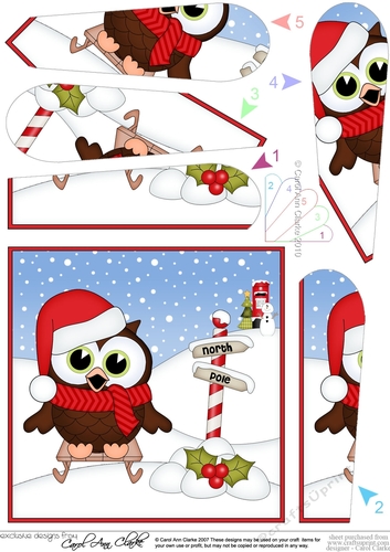 Christmas Little Hoot Owl is Sledging Fan Pyramage Topper